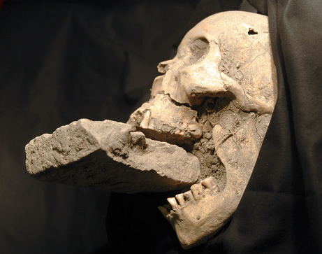 Vampire Skeleton Found! (click to read the actual article)